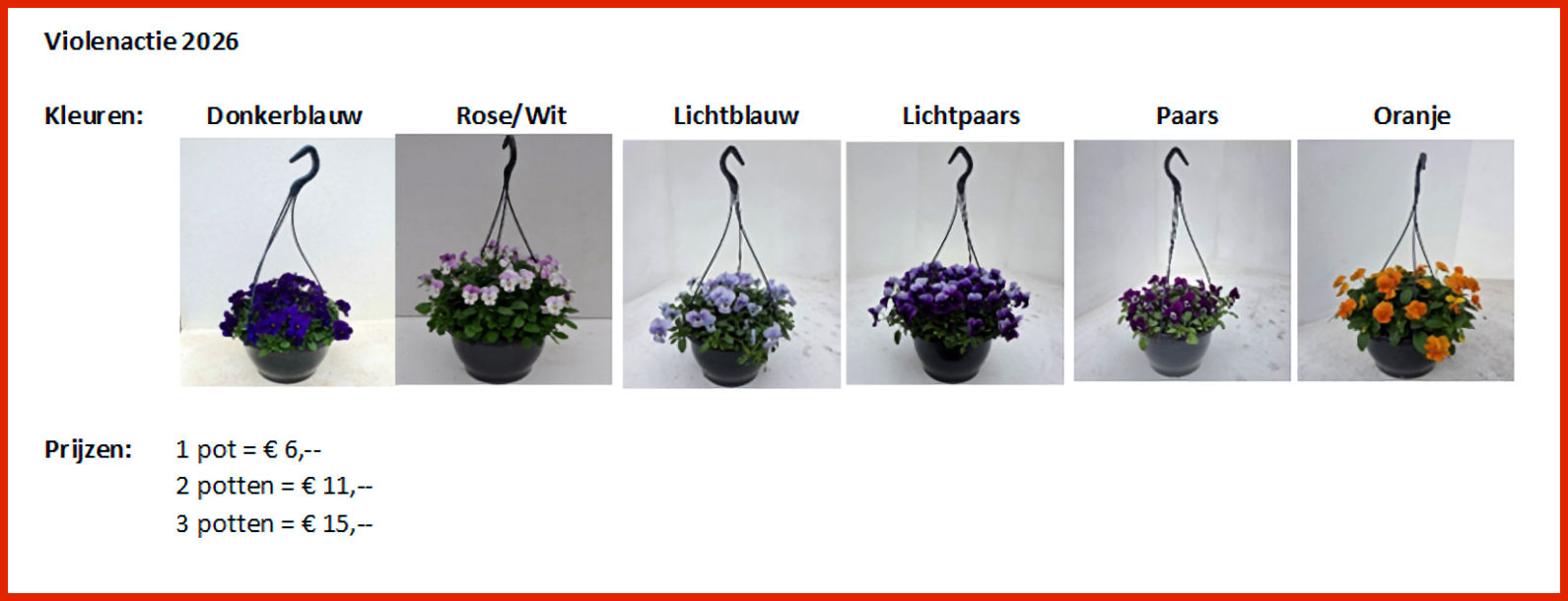 violen actie 2026