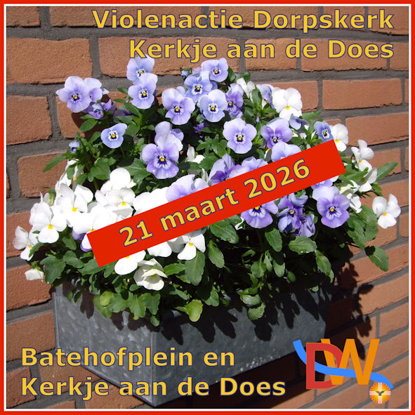 violenactie